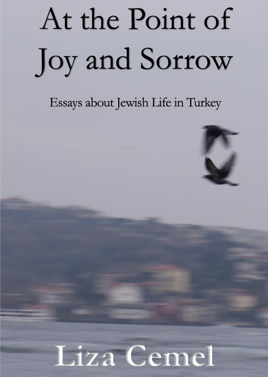 Cover of At the Point of Joy and Sorrow by Liza Cemel